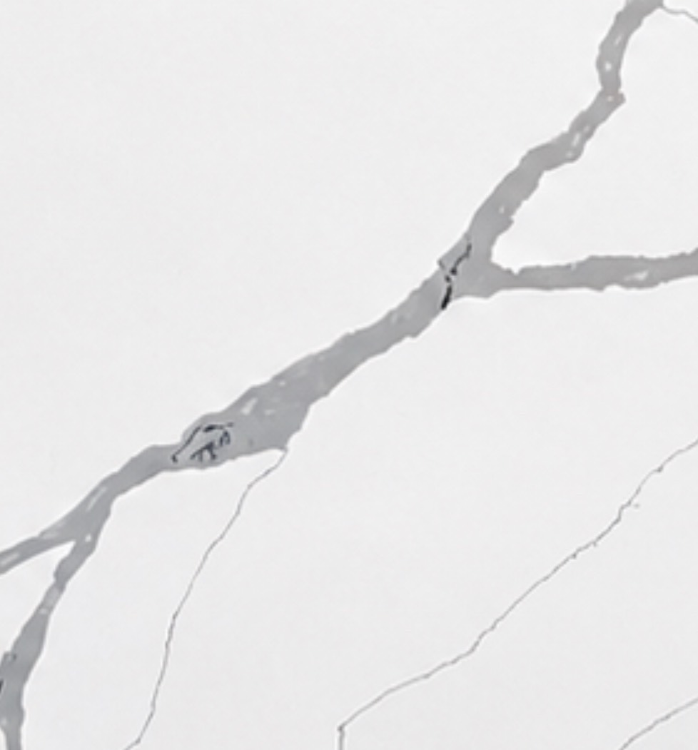 S__22568993_0