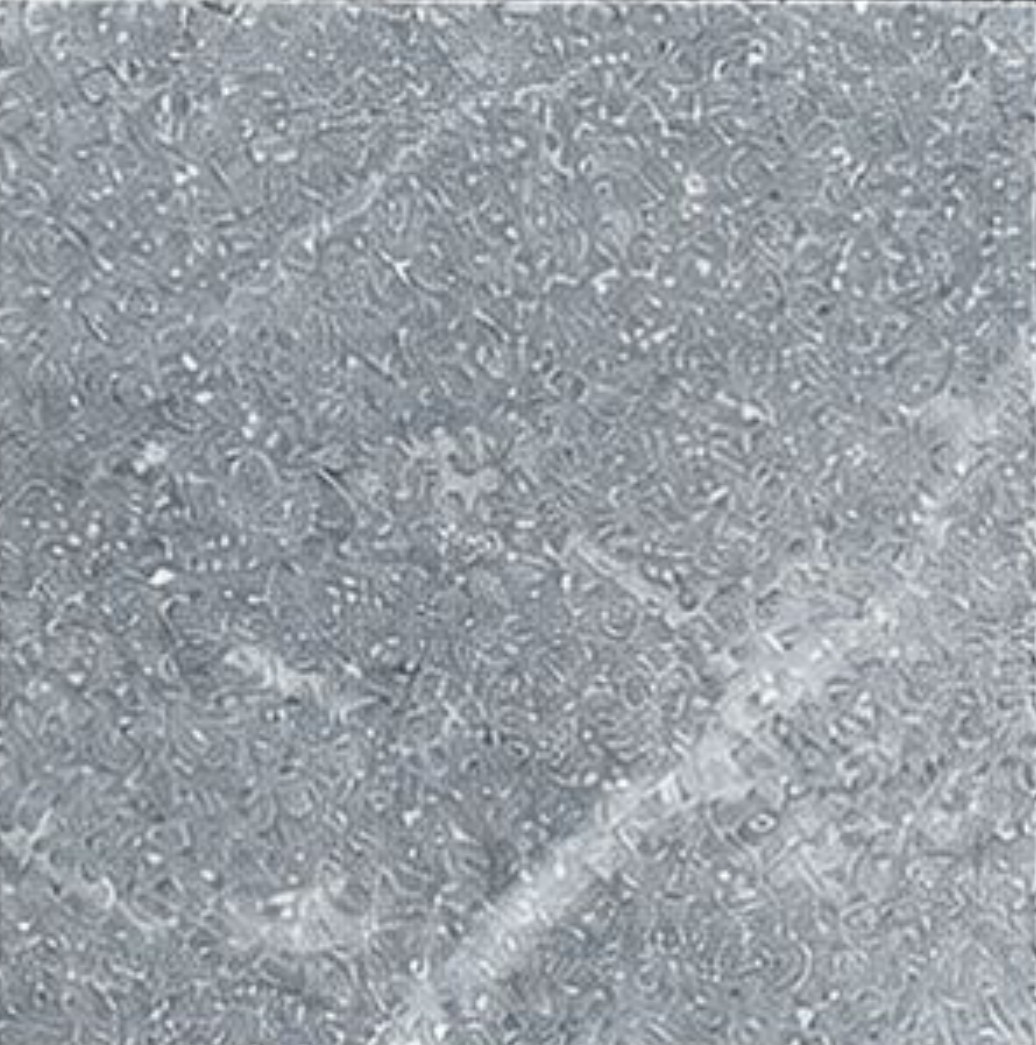 S__22626361