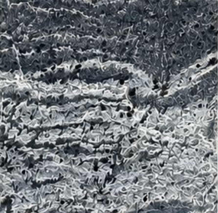 S__22634503