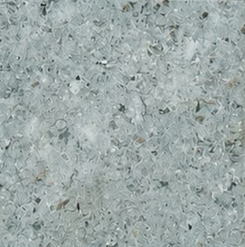 S__22634505