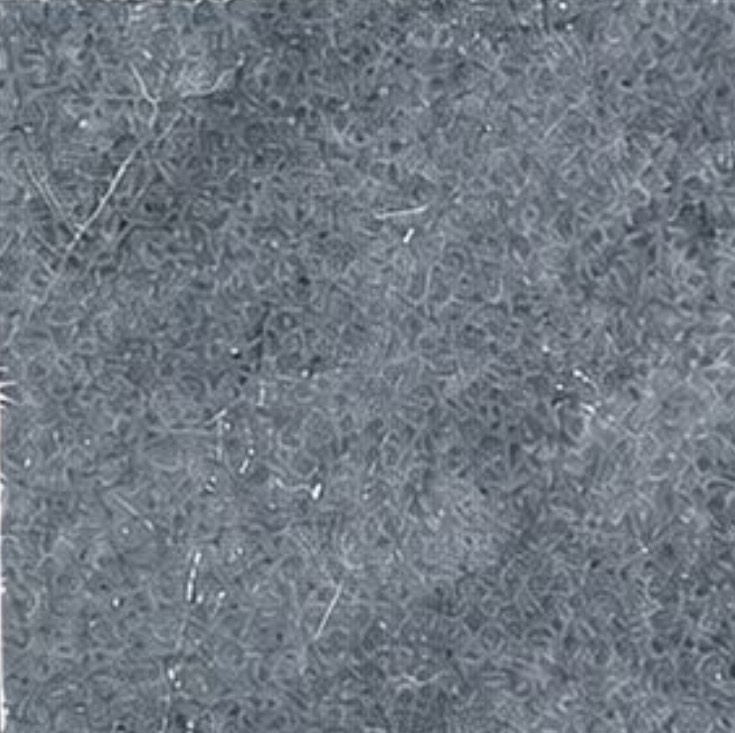 S__22667279