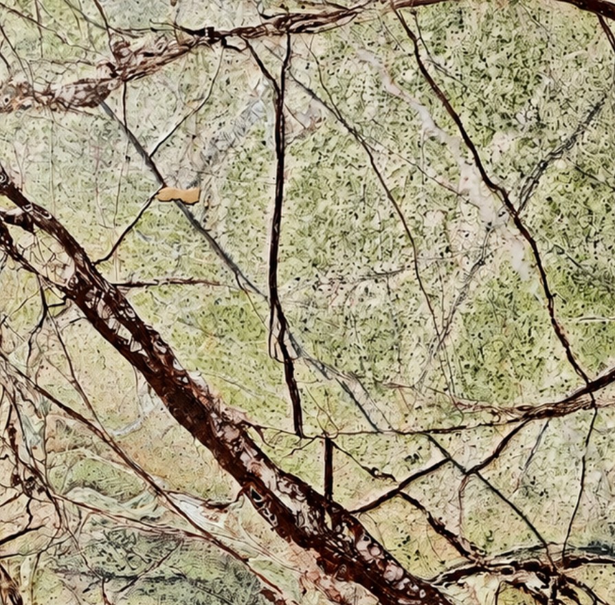 S__22667297
