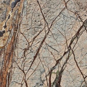 Rain Forest Brown