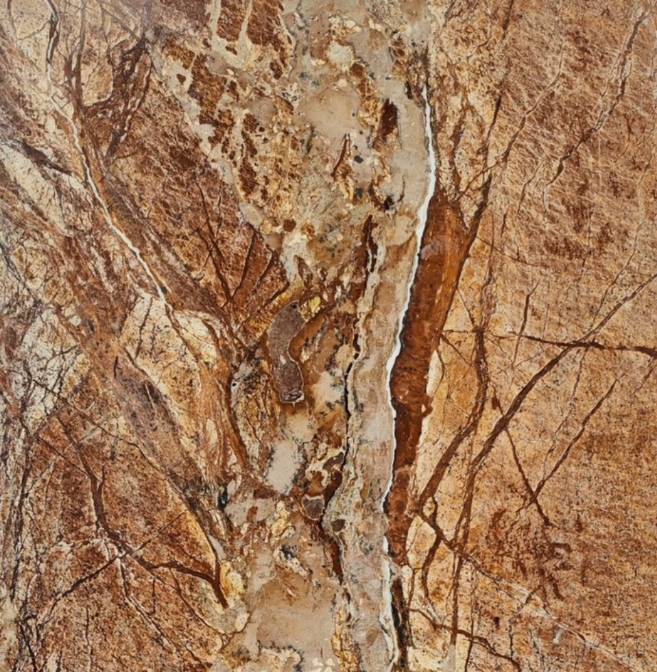 S__22691870