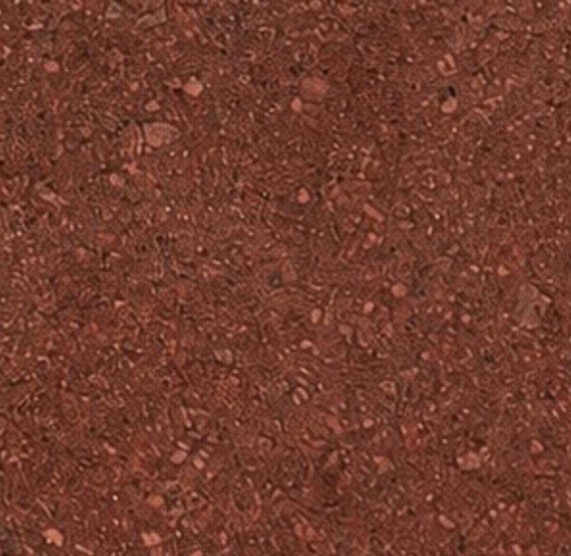 S__22691919