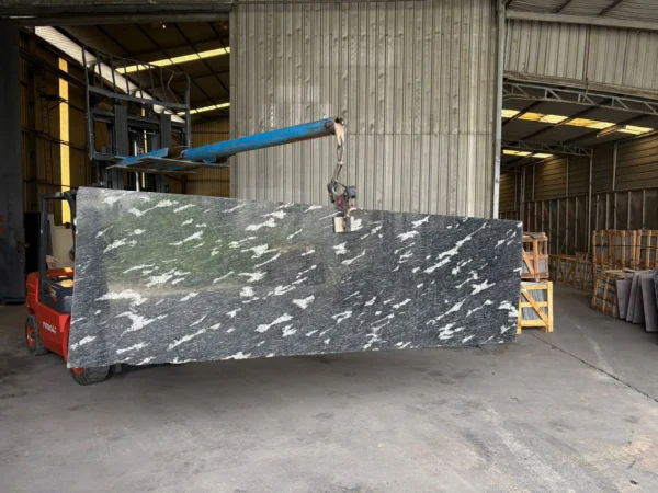 Fish black Granite - Image 2